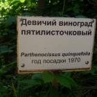 DSCN1601.JPG