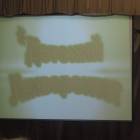 DSCN4293.JPG