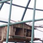 IMG_20160828_093039
