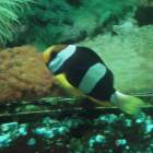 DSCN9940.JPG