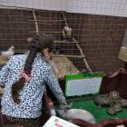 IMG_20181101_175031
