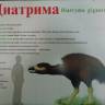 DSC05111.JPG