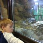 IMG_20171112_191830