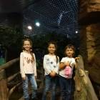 Казанский океанариум95564