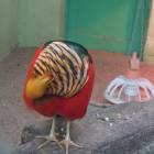 DSCN5027.JPG