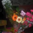 DSCN9905.JPG