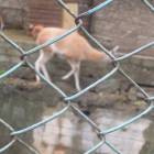 DSCN4945.JPG