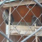 DSCN4978.JPG