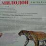 DSC05101.JPG