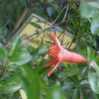 DSCN4786.JPG