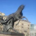IMG_0785.JPG