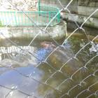 DSC05947.JPG