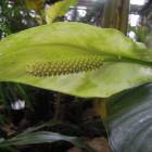 DSCN4807.JPG