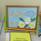 IMG_20171119_094147