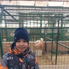 IMG-20180218-WA0094