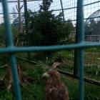 IMG_20160828_092949