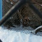 20180217_115446