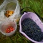DSCN0628.JPG