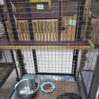 IMG_20181101_174345