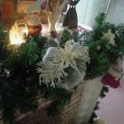 DSCN5517.JPG