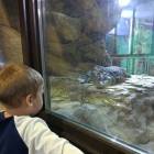 IMG_20171112_191829