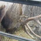 DSCN4907.JPG