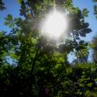 DSCN1623.JPG