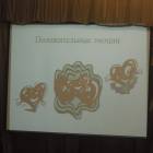 DSCN4286.JPG