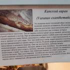 Выставка зоопарк "Живые тропики"60559