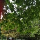 20190821_183021