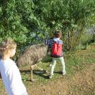 IMG_2569.JPG