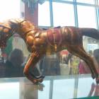 DSCN6833.JPG