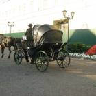 IMG_3826.JPG