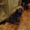DSC04279.JPG