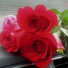 DSCN1737.JPG