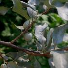 DSCN1587.JPG