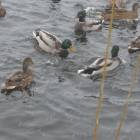 DSCN5281.JPG