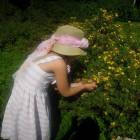 DSCN1642.JPG