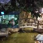 IMG_20171112_192340