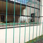 DSC05935.JPG