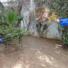 DSC06390.JPG