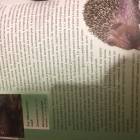 моя книжная полка104123