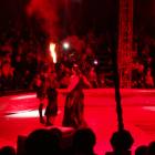 DSC07431.JPG