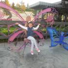 DSCN0726.JPG