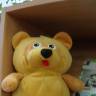 DSC08604.JPG