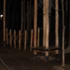 IMG_5447.JPG