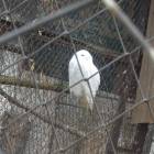 DSCN4972.JPG