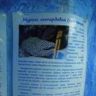 DSCN9928.JPG