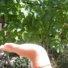 DSCN0584.JPG