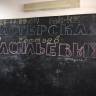 Создание мультфильмы31049